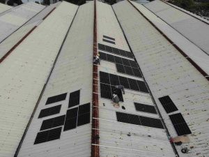 POSO thi công lắp đặt năng lượng mặt trời tại kho lạnh Đà Nẵng